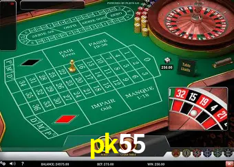 Descubra o Mundo do Cassino Online com pk55
